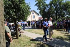 Mini IMG 4342